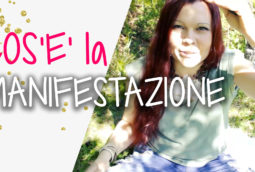 Cos’è la Manifestazione?
